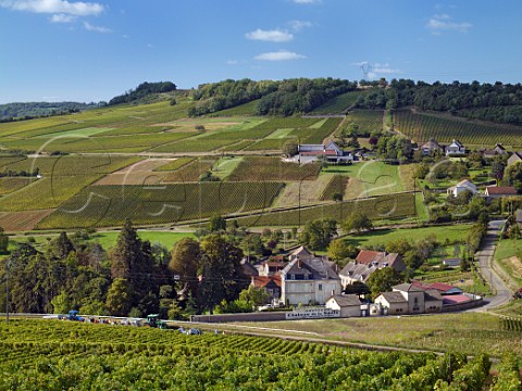 Harvesting in vineyard by Chteau de la Saule below the village of MontagnylsBuxy SaneetLoire France Montagny  Cte Chalonnaise