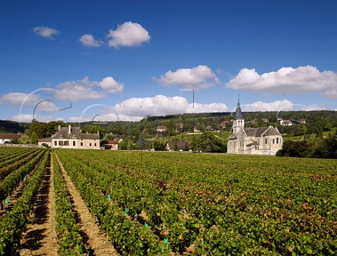 Clos Marceaux vineyard at Poncey near Givry SaneetLoire France  Givry  Cte Chalonnaise