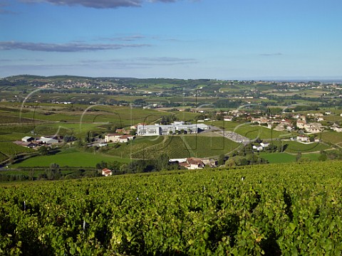 The Lyce Agricole agricultural college amidst the vineyards at Davay SaneetLoire France StVran  Mconnais
