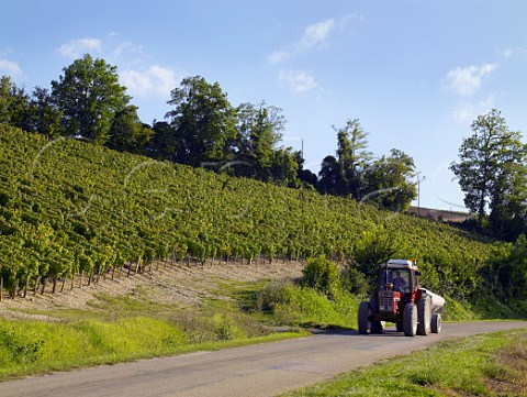 Tractor with harvested grapes on road through the vineyards near Beine  Yonne France Chablis