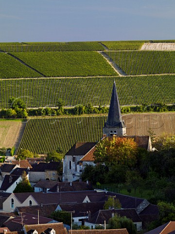 Village of Beine with chardonnay vineyards beyond Yonne France Chablis