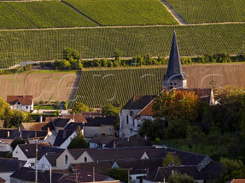 Village of Beine with chardonnay vineyards beyond  Yonne France Chablis