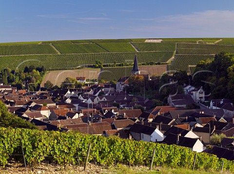 Village of Beine surrounded with chardonnay vineyards  Yonne France Chablis