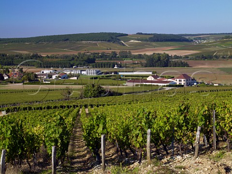 Wineries of Domaine Laroche left and Daniel Dampt at Milly on the outskirts of Chablis Yonne France Chablis