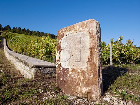 Marker stone in Vaudsir vineyard of Domaine Drouhin Chablis Yonne France Chablis Grand Cru