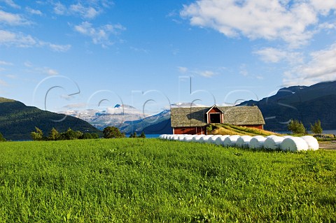 Barn and green field on Nordfjord Eid Commune Norway