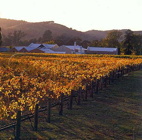 Te Mata winery and autumnal vineyard Havelock North New Zealand Hawkes Bay