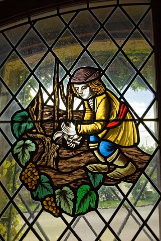 Stained glass window depicting historic wine worker pruning the vines in vineyard LAlambic caveau and restaurant NuitsStGeorges Cte dOr France