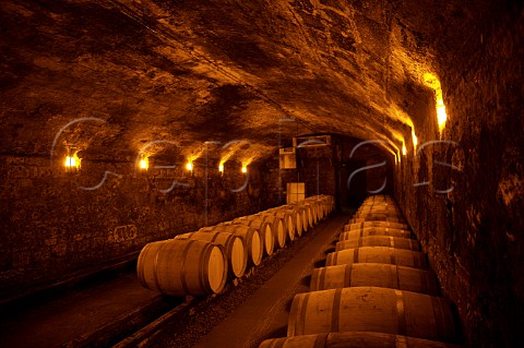 Barrel cellar of Chteau Beychevelle StJulien Gironde France Mdoc  Bordeaux