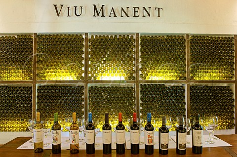 Wine bottles in tasting room of Viu Manent Colchagua Chile Rapel