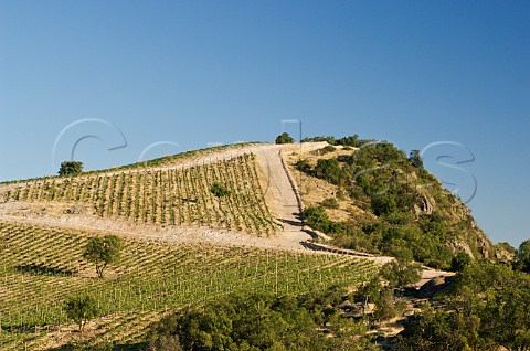 Hilltop vineyards of Luis Felipe Edwards Colchagua Valley Chile Rapel