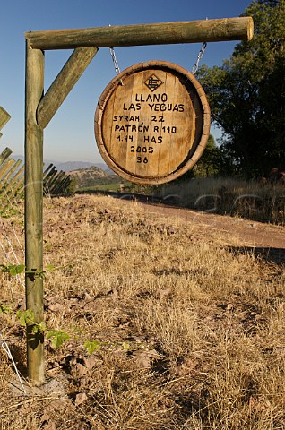 Llano las Yeguas sign marking Syrah vines in vineyard of Luis Felipe Edwards Colchagua Valley Chile Rapel