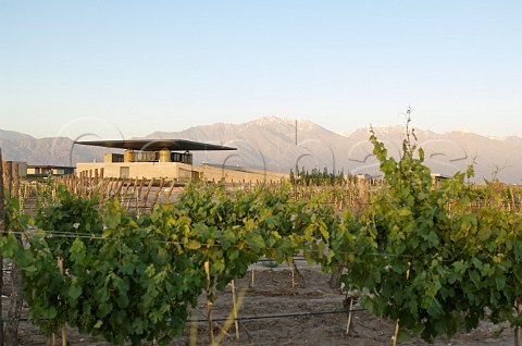 OFournier winery and vineyards Mendoza Argentina
