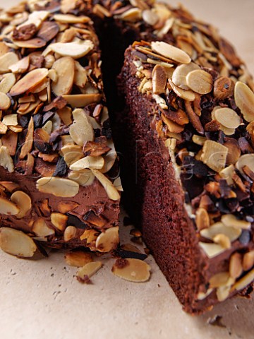 Chocolate sponge cake covered in nuts
