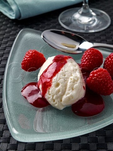 Quenelle of white chocolate mousse with raspberry coulis