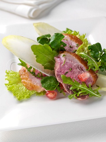 Duck salad with chicory