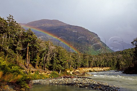 Rainbow over Route Burn after rain Mt Aspiring National Park South Island New Zealand