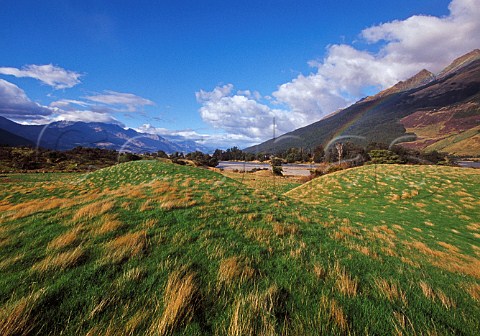 Dart River valley near Glenorchy South Island New Zealand