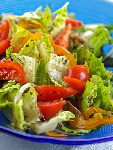 Lettuce and tomato salad bowl with balsamic vinegar and olive oil