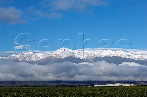 El Portillo winery part of Bodegas Salentein with snow capped Andes mountains behind Tunuyan Mendoza Argentina