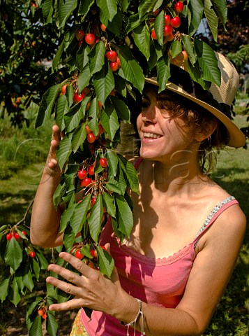 Young woman under cherry tree Scherwiller Alsace France