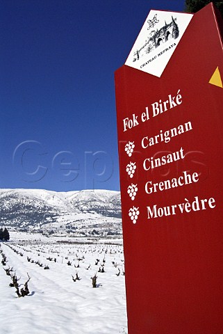 Sign for Chateau Kefraya in snow covered vineyard Bekaa Valley Lebanon