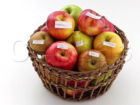 Variety of apples in a basket