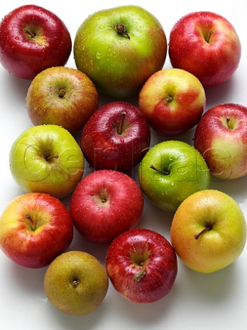 Variety of apples