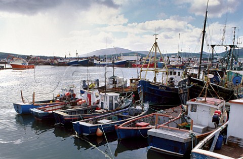 Fishing boats in Dingle harbour County Kerry Ireland