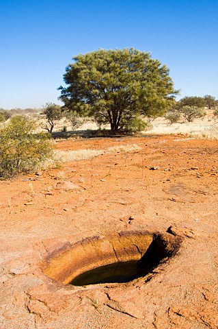 Gnamma Hole a natural rock hole containing water Canning Stock Route Western Australia