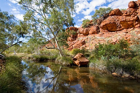 Durba Springs Durba Hills Canning Stock Route Western Australia