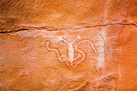 Rock art in Killagurra Gorge Durba Hills Canning Stock Route Western Australia