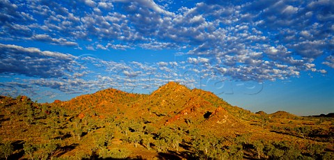 Landscape near Ruby Queen Mine Halls Creek region Kimberley Western Australia