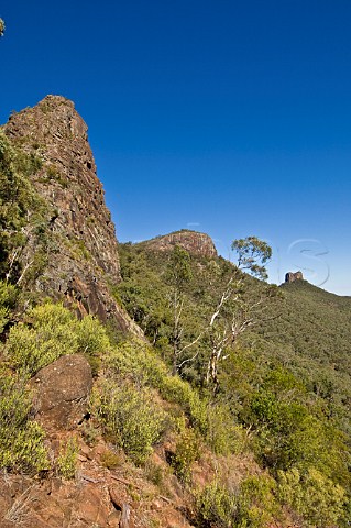 Mt Yulludunida Mt Kaputar National Park New South Wales Australia