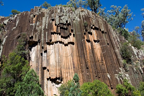Sawn Rocks Mt Kaputar National Park New South Wales Australia