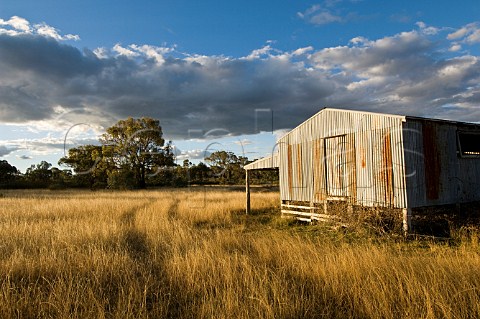 Old shed at sunset Inverell New England region New South Wales Australia