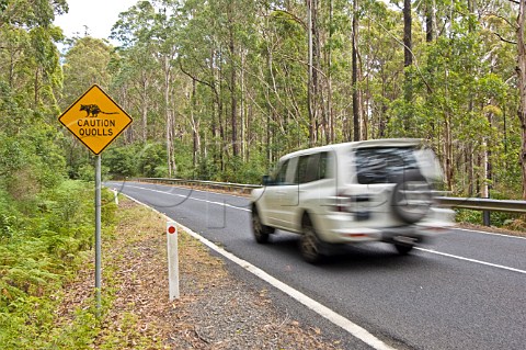 Car passing road sign warning of Quolls on the Gwydir Highway Washpool National Park New South Wales Australia