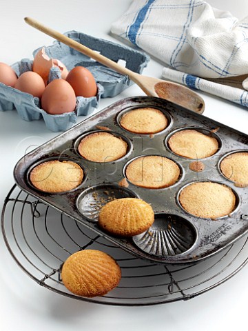 Home made madeleines in a baking tray
