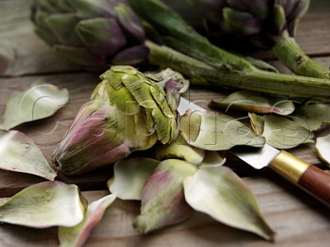 Artichokes and leaves