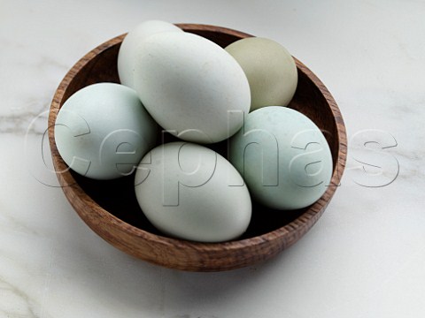 Bowl of blue free range eggs