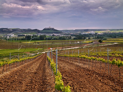 View over springtime vineyard to Peafiel and its hilltop castle  Castilla y Len Spain Ribera del Duero