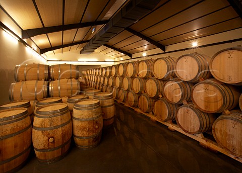 New barrel aging cellar of Bodegas Mauro Tudela de Duero near Valladolid  Castilla y Len Spain