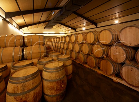 New barrel aging cellar of Bodegas Mauro Tudela de Duero near Valladolid  Castilla y Len Spain