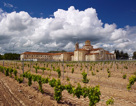 New Tinto Fino vineyard by the restored 12thcentury San Bernardo monastery Near Valbuena de Duero Castilla y Len Spain Ribera del Duero