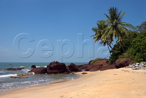 Rocks and palms on Costa Malabari beach near Kannur Cannanore on the CochinMysore  CochinGoa route North Kerala India