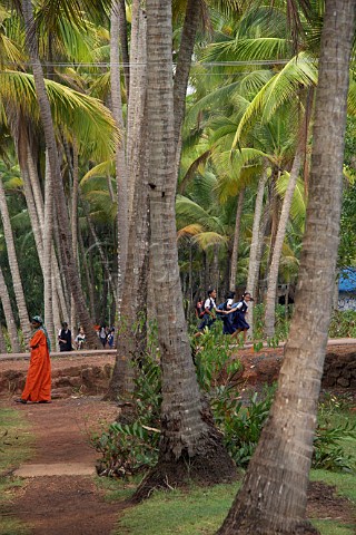 Indian children walking home from school through the palm trees by the backwaters at Costa Malabari near Kannur Cannanore on the CochinMysore  CochinGoa route North Kerala India