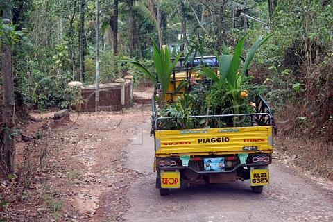 Auto rickshaw carrying garden plants Costa Malabari near Kannur Cannanore on the CochinMysore  CochinGoa route North Kerala India