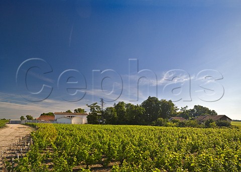 Chteau Fonbadet and its vineyards Pauillac Gironde France Pauillac  Bordeaux