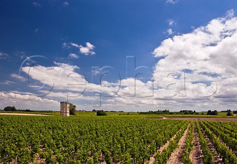 Tower in vineyard near Marbuzet with the turrets of Cos dEstournel in the distance Gironde France StEstphe  Bordeaux