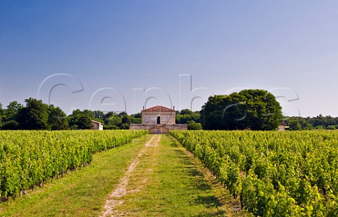Chteau Vernous and vineyards LesparreMdoc Gironde France Mdoc  Bordeaux